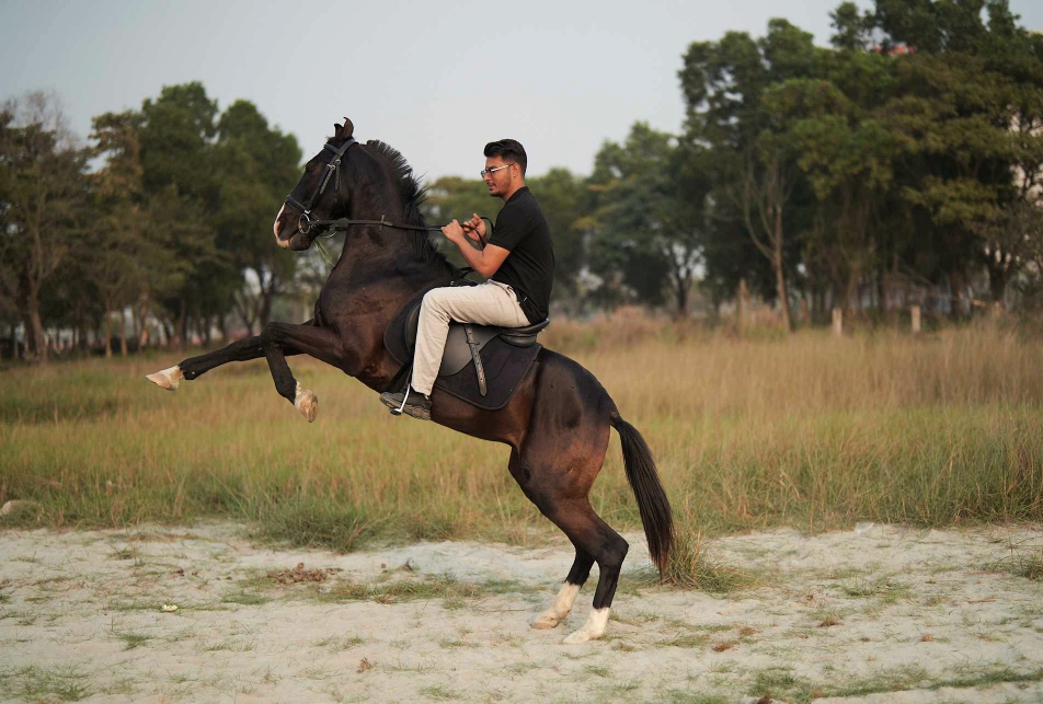 Basic Course - Fast pace